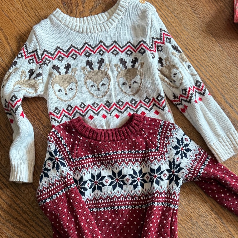 Two thick sweaters 
Gender neutral